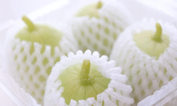 白內障術后飲食